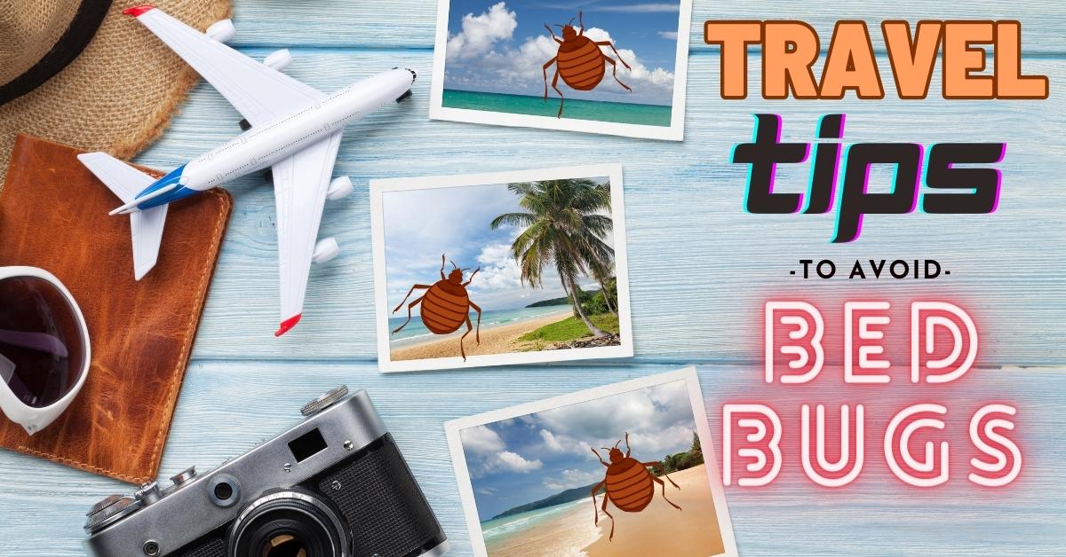 Travel Tips for Bed Bugs